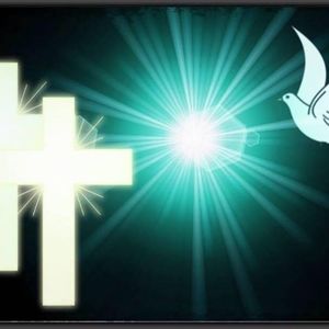 Meet your Posher, Martha